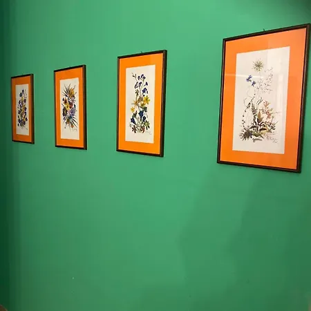 Comfortable And Friendly